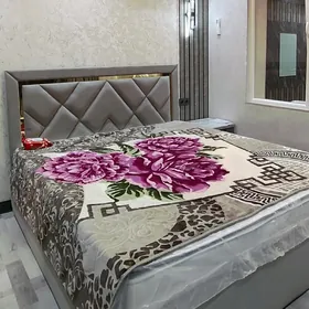 Arenda jay 11 Mkr