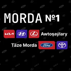MORDA / ANGAR