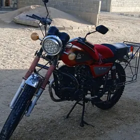 Fekon FK150-8G 2015