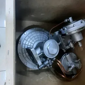 Газз шеепе