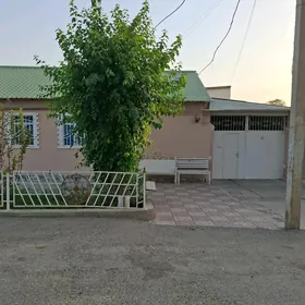 hitrowka uspen koce satlyk jay