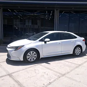 Toyota Corolla 2021