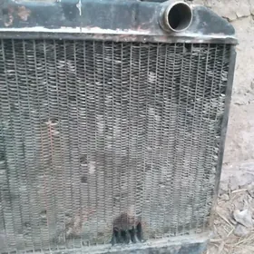 Radiator gaz 24