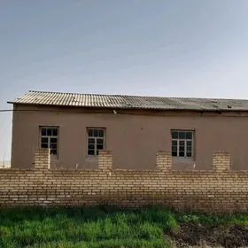 Lebap Halac jay
