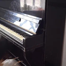 pianino
