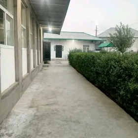 ARENDA ANEW JBI-DACA