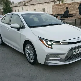 Toyota Corolla 2020