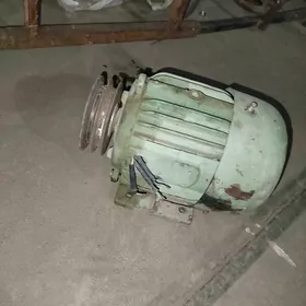 elektro diwitil