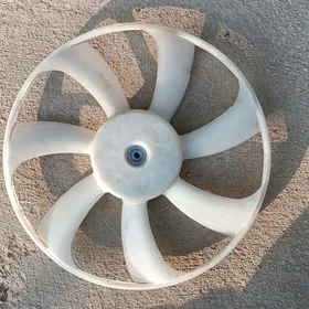20 karolla lopus