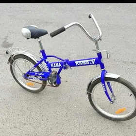 tigir
