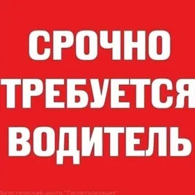 ищу водителя для ребёнка