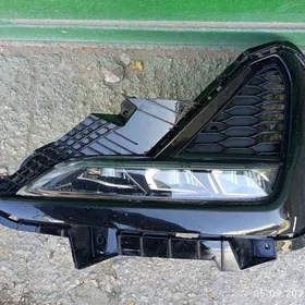 kia 2019-20