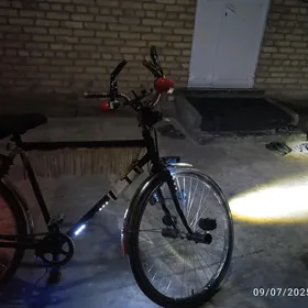 welik 007