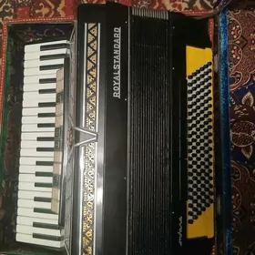akkardeon akardion akordion