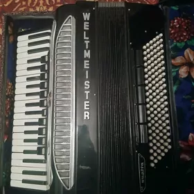 akardeon akordeon akkardeon