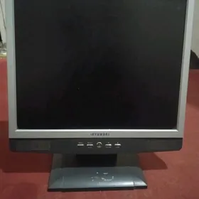 monitor 19