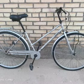 N 27 velik