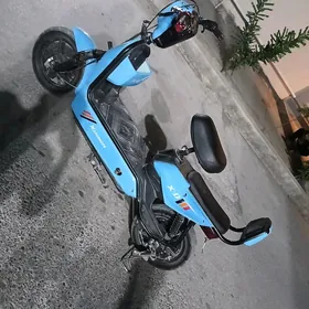 SUKUTR MOTOR