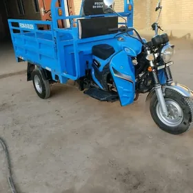 Fekon FK200-14G 2024
