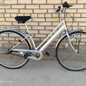 3 skorly 27 velik