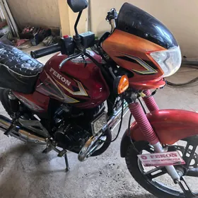 Fekon FK150-8G 2014