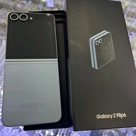 Samsung Flip 6