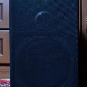 PIONEER KOLONKA