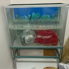 аквариум большой