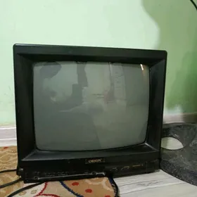 kici telewizor