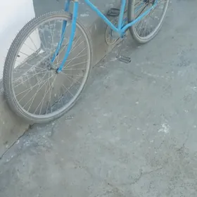5ýüzlik