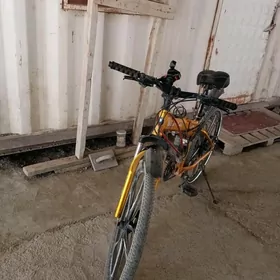BWM tigir