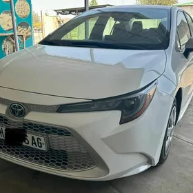 Toyota Corolla 2022