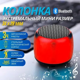 Mini Kalonka Tuzik