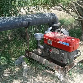 беларус