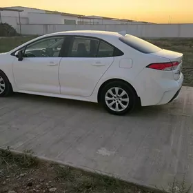 Toyota Corolla 2019
