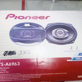 pioneer kalonka