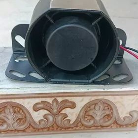 Signal