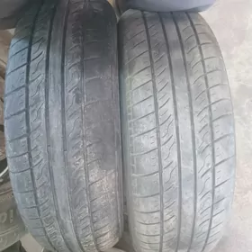 185.70.14.lik bezkamir
