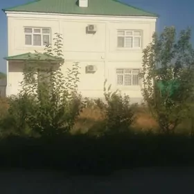 Kotež