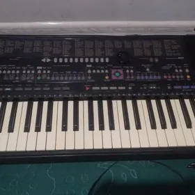 yamaha 510