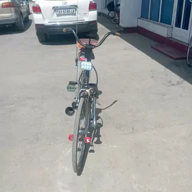 welik saltyk