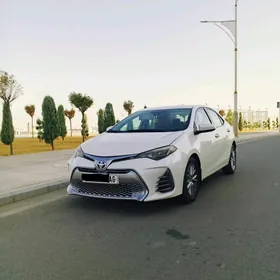 Toyota Corolla 2017