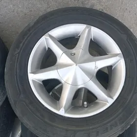 14 lik opel disga pokryşga