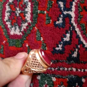 Gyzyl 83 poba