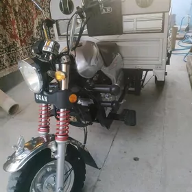 Ozan 200CC 2023