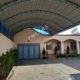 COGANLY KOTTEJ 1SWETAFOR