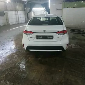 Toyota Corolla 2020