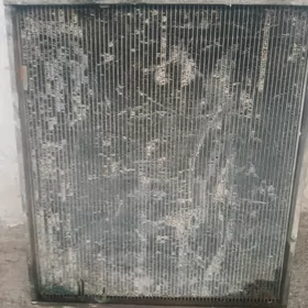 maz radiator mis