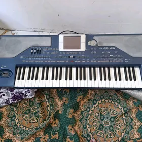 Korg PA 800