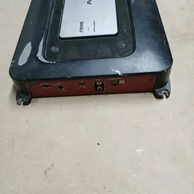 usilitel pioner arginal